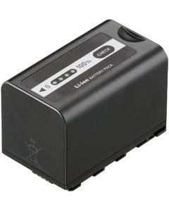 Panasonic VW-VBD58 Rechargeable Battery (Black)